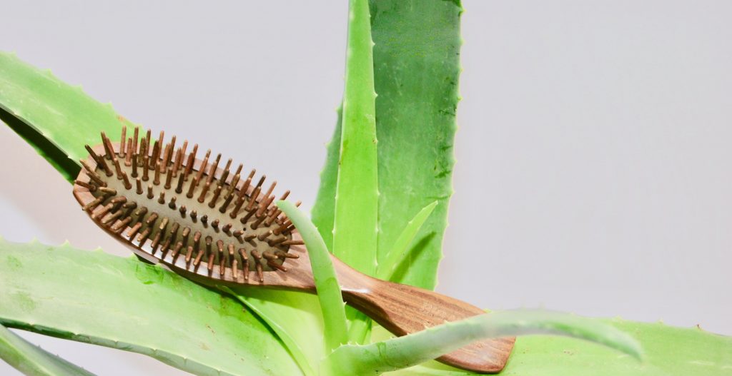 Sandalwood Brush - Image 2
